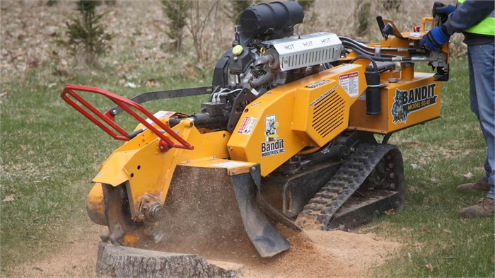 Tree Stump Removal